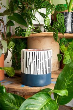 earthenware pot for plants on a wooden table with green plant background. catalog of plant pots. clay pot for plants.