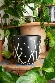 earthenware pot for plants on a wooden table with green plant background. catalog of plant pots. clay pot for plants.