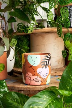 earthenware pot for plants on a wooden table with green plant background. catalog of plant pots. clay pot for plants.