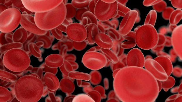 3d rendering Blood cells flying through arteries on black background 4K