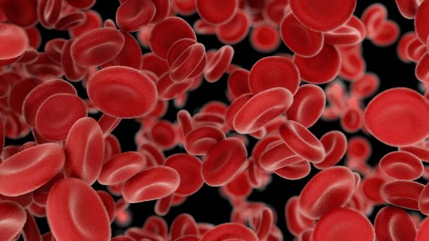 3d rendering Blood cells flying through arteries on black background 4K