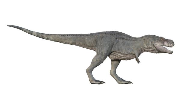 3d render of Tyrannosaurus rex on a white background 4K