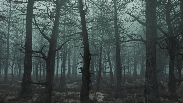3d render of a gloomy day forest side view 4k