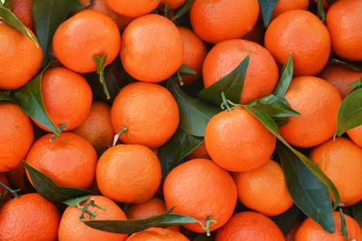 Bunch of fresh oranges at a market