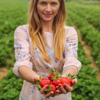 Young woman in pink dress holding two hands full of freshly picked strawberries, self harvesting strawberry farm in background.
