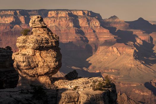 Grand Canyon south rim and boulder at golden sunset, Arizona, United States