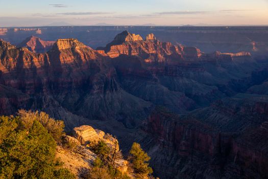 Grand Canyon north rim silhouette at golden sunset, Arizona, United States