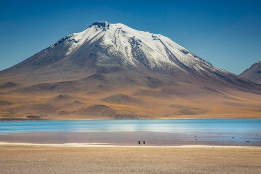 Turquoise laguna Miscanti, salt lake in Atacama desert, volcanic landscape, Chile, South America