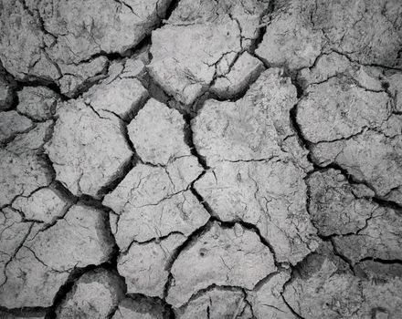 Abstract Land arid ground texture