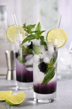 Cold refreshment organic   cocktail Blackberry mojito with berry fruit in glass