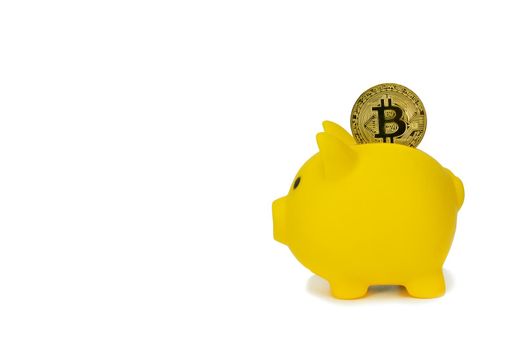 Save crypto currency in piggy bank concept. Investment for business