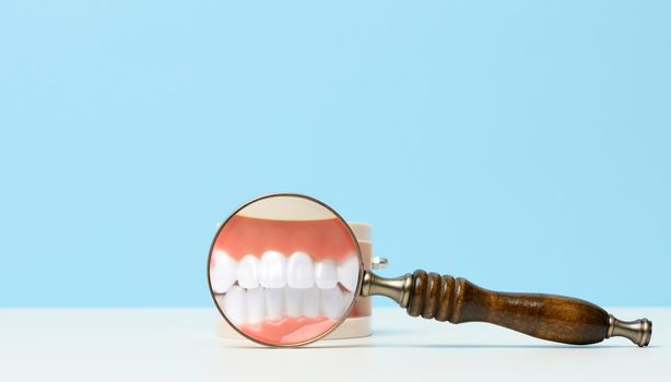 model of a human jaw with white teeth and a wooden magnifier on a white table. Early diagnosis, oral care