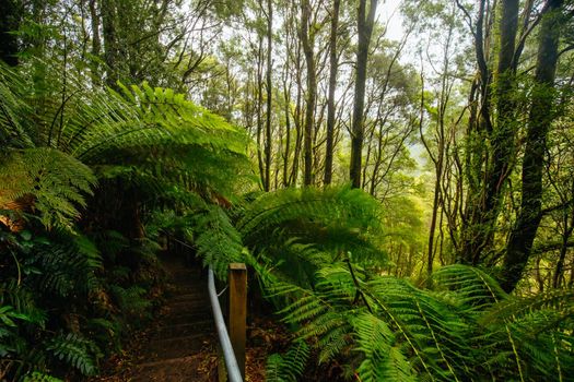 The popular Hopetoun Falls and surrounds after fierce winter storms near Lorne, Victoria, Australia