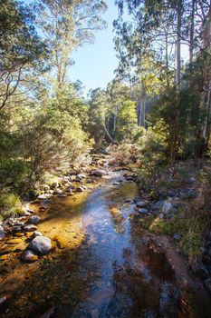 Leather Barrel Creek near Thredbo in New South Wales, Australia