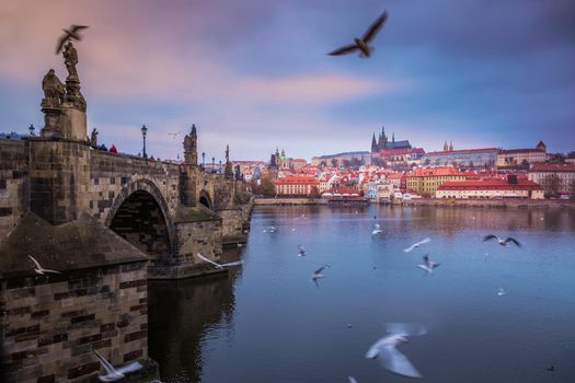 Charles bridge at dramatic evening with doves, Prague old town, Czech Republic
