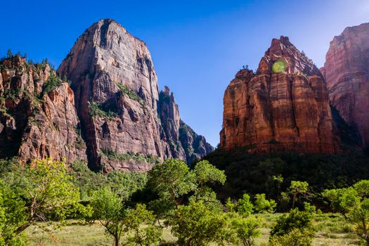Zion National Park dramatic landscape at sunny day, Utah, United States