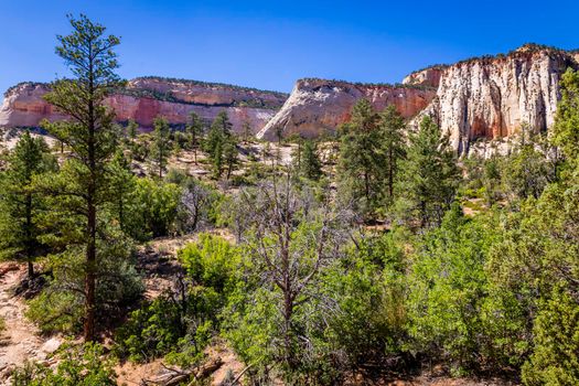 Zion National Park dramatic landscape at sunny day, Utah, United States