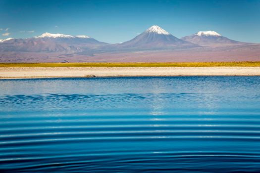 Licancabur volcanic landscape and salt lake reflection at sunset in Atacama Desert, Chile, South America