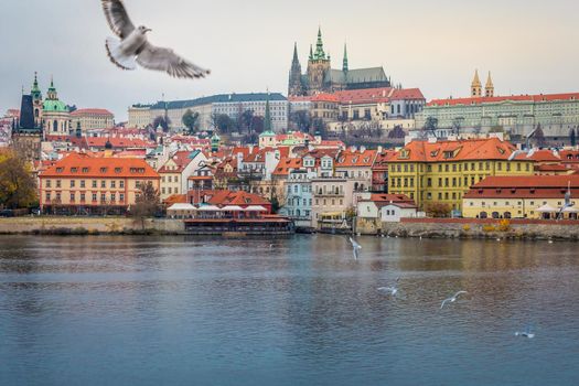 Charles bridge at dramatic evening with doves, Prague old town, Czech Republic