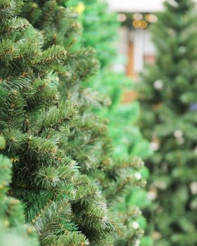 Christmas sale of pine trees. The fair is on the street. New Year's market. Sale of trees. Christmas trees.