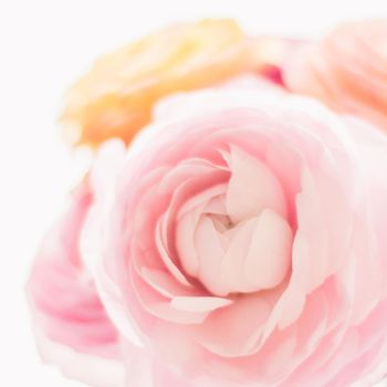 pink rose flowers from the garden - wedding, holiday and floral garden styled concept, elegant visuals