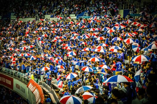 People who support soccer games. Shooting Location: Yokohama-city kanagawa prefecture
