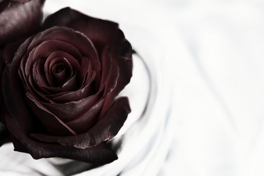 black rose flower - wedding, holiday and floral garden styled concept, elegant visuals