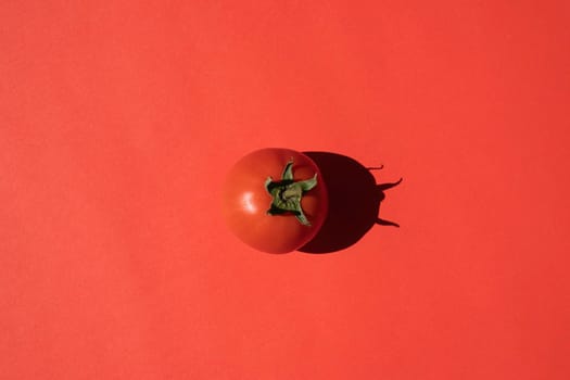 red tomato with a hard shadow on a red background. photo