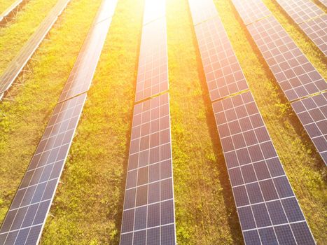 Aerial top view of a solar panels power plant. Photovoltaic solar panels at sunrise and sunset in countryside from above. Modern technology, climate care, earth saving, renewable energy concept