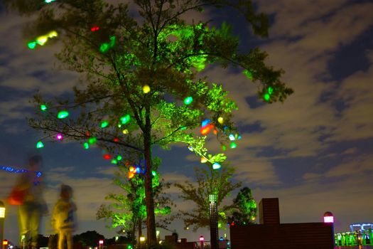 Glow tree. Shooting Location: Yokohama-city kanagawa prefecture