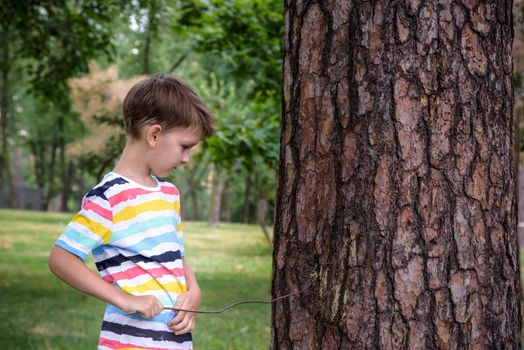 Boy 7 years old white Caucasian looks attentively at the tree while standing in the forest near a beech tree in early summer or spring..