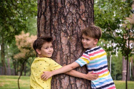 Two Little boys hugs a tree trunk - children love the nature, sustainability concept. Save the nature.