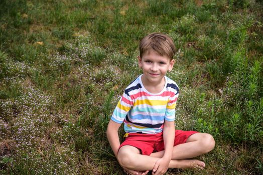 Little boy child with a cute expression face sitting on grass. Cheerful kid having fun on green summer meadow.