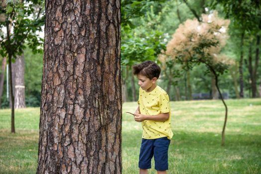 Boy 7 years old white Caucasian looks attentively at the tree while standing in the forest near a beech tree in early summer or spring..