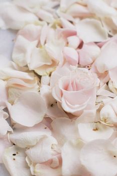 rose flower petals on marble - wedding, holiday and floral garden styled concept, elegant visuals