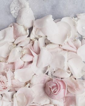 rose flower petals on marble - wedding, holiday and floral garden styled concept, elegant visuals