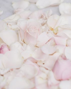 rose flower petals on marble - wedding, holiday and floral garden styled concept, elegant visuals