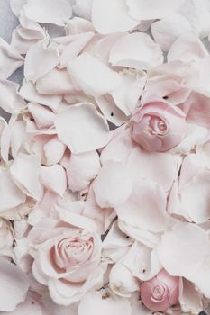 rose flower petals on marble - wedding, holiday and floral garden styled concept, elegant visuals