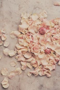 rose flower petals on marble - wedding, holiday and floral garden styled concept, elegant visuals