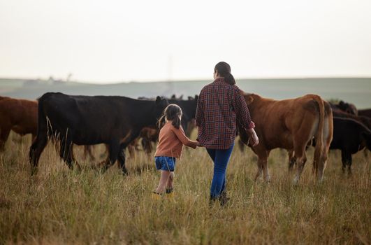 Cow farmer, mother and girl on farm, agriculture nature or cattle sustainability countryside field. Family bonding and working on healthy environment for cattle in meat, beef or food industry.