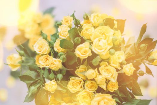 bouquet of yellow roses in sunlight - springtime, mother's day and holiday styled concept