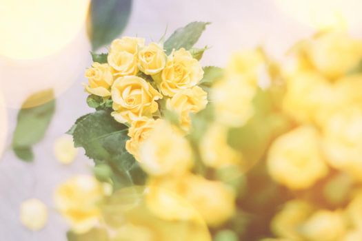 bouquet of yellow roses in sunlight - springtime, mother's day and holiday styled concept