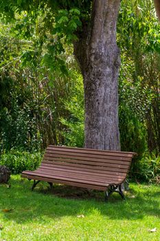 Wooden bench in the green garden on a sunny day
