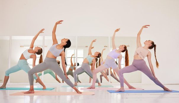 Yoga class or club of females only exercising and stretching during their morning workout or exercise. Group of calm, fit and active women training together and living a healthy lifestyle.