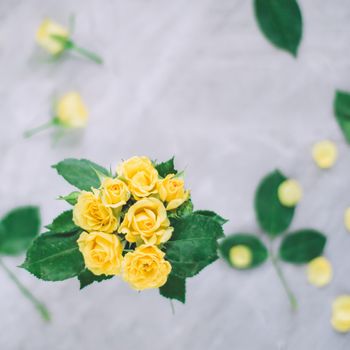 yellow roses - wedding, holiday and floral garden styled concept, elegant visuals