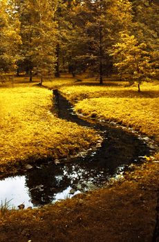 fall scenery, beauty of autumn - nature and environment concept, elegant visuals