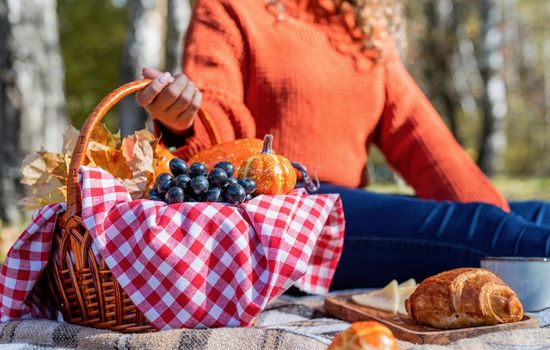 Leisure, free time. Beautiful caucasian woman in red sweater on a picnic outdoors, sitting on a plaid in autumn forest