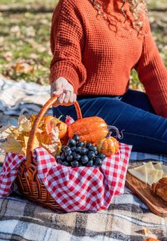 Leisure, free time. Beautiful caucasian woman in red sweater on a picnic outdoors, sitting on a plaid in autumn forest