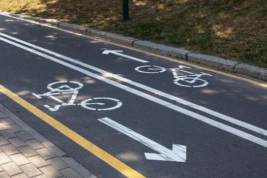 Two-lane bike path in a summer park close up