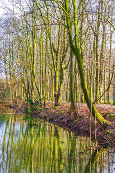 Natural beautiful panorama view with lake river walking pathway and green plants trees in the forest of Speckenbütteler Park in Lehe Bremerhaven Germany.